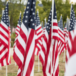 bds Veterans Day and the Journey of Online Dating main