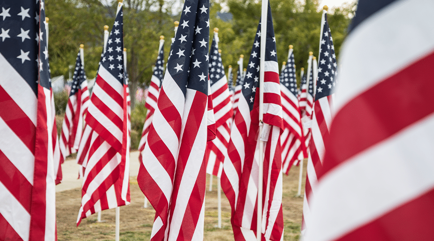 bds Veterans Day and the Journey of Online Dating main